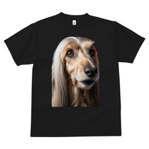 AtKnEh TVc fB[X t@  t  vg JWA 킢 lԗp h ̃fUC ʔ AtKnEh