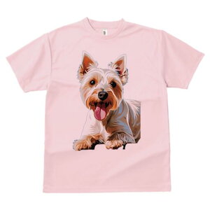 EGXgnChzCgeA TVc fB[X t@  t  vg JWA 킢 lԗp h ̃fUC ʔ  EGXgnChzCge