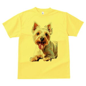 EGXgnChzCgeA TVc fB[X t@  t  vg JWA 킢 lԗp h ̃fUC ʔ  EGXgnChzCge