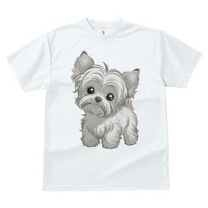 }`[Y TVc fB[X t@  t  vg JWA 킢 lԗp h ̃fUC ʔ }`[Y