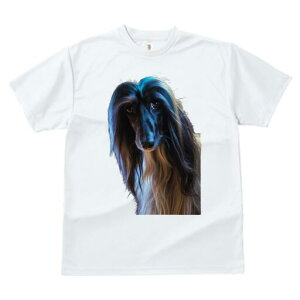 AtKnEh TVc fB[X t@  t  vg JWA 킢 lԗp h ̃fUC ʔ AtKnEh