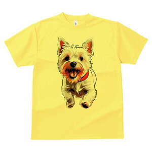 EGXgnChzCgeA TVc fB[X t@  t  vg JWA 킢 lԗp h ̃fUC ʔ EGXgnChzCgeA