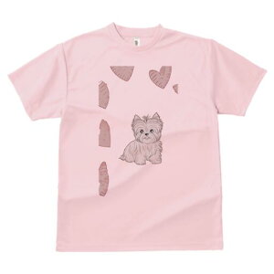 EGXgnChzCgeA TVc fB[X t@  t  vg JWA 킢 lԗp h ̃fUC ʔ n[g EGXgnChzCg