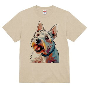 EGXgnChzCgeA TVc fB[X t@  t  vg JWA 킢 lԗp h ̃fUC ʔ  EGXgnChzCge