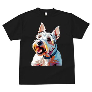 EGXgnChzCgeA TVc fB[X t@  t  vg JWA 킢 lԗp h ̃fUC ʔ  EGXgnChzCge