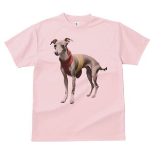 C^AO[nEh TVc fB[X t@  t  vg JWA 킢 lԗp h ̃fUC ʔ Z[^[ C^AO[nEh