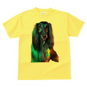 AtKnEh TVc fB[X t@  t  vg JWA 킢 lԗp h ̃fUC ʔ AtKnEh