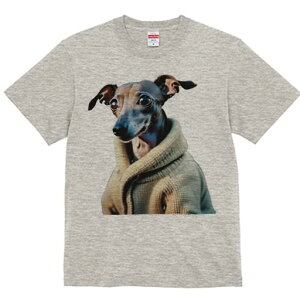 C^AO[nEh TVc fB[X t@  t  vg JWA 킢 lԗp h ̃fUC ʔ Z[^[ C^AO[nEh