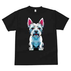 EGXgnChzCgeA TVc fB[X t@  t  vg JWA 킢 lԗp h ̃fUC ʔ  EGXgnChzCge