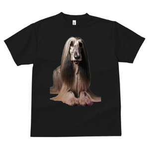 AtKnEh TVc fB[X t@  t  vg JWA 킢 lԗp h ̃fUC ʔ GKg AtKnEh  t@bV 