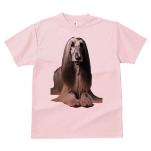 AtKnEh TVc fB[X t@  t  vg JWA 킢 lԗp h ̃fUC ʔ GKg AtKnEh  t@bV 