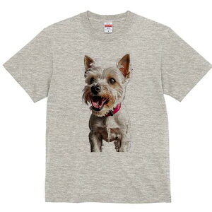 EGXgnChzCgeA TVc fB[X t@  t  vg JWA 킢 lԗp h ̃fUC ʔ  EGXgnChzCge