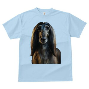 AtKnEh TVc fB[X t@  t  vg JWA 킢 lԗp h ̃fUC ʔ AtKnEh