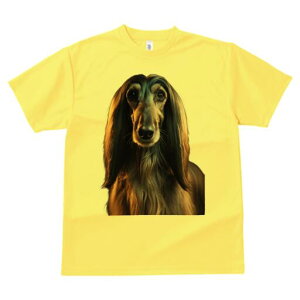 AtKnEh TVc fB[X t@  t  vg JWA 킢 lԗp h ̃fUC ʔ AtKnEh