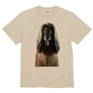 AtKnEh TVc fB[X t@  t  vg JWA 킢 lԗp h ̃fUC ʔ wAX^C AtKnEh e