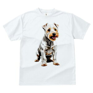 m[tH[NeA TVc fB[X t@  t  vg JWA 킢 lԗp h ̃fUC ʔ m[tH[NeA