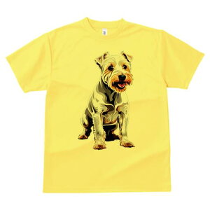 m[tH[NeA TVc fB[X t@  t  vg JWA 킢 lԗp h ̃fUC ʔ m[tH[NeA