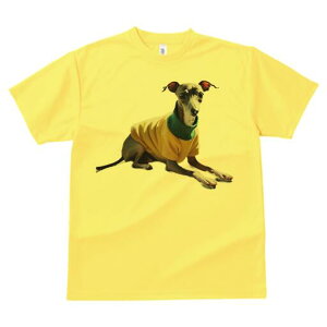 C^AO[nEh TVc fB[X t@  t  vg JWA 킢 lԗp h ̃fUC ʔ Z[^[ C^AO[nEh 