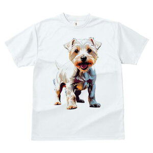 WbNbZeA TVc fB[X t@  t  vg JWA 킢 lԗp h ̃fUC ʔ 킢 WbNbZeA ybg D