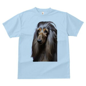 AtKnEh TVc fB[X t@  t  vg JWA 킢 lԗp h ̃fUC ʔ wAX^C AtKnEh e