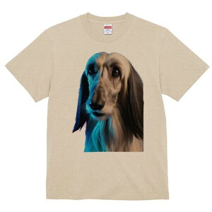 AtKnEh TVc fB[X t@  t  vg JWA 킢 lԗp h ̃fUC ʔ AtKnEh