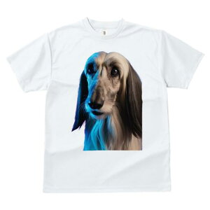 AtKnEh TVc fB[X t@  t  vg JWA 킢 lԗp h ̃fUC ʔ AtKnEh