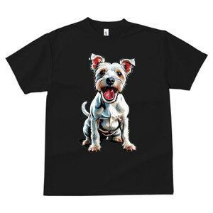 EGXgnChzCgeA TVc fB[X t@  t  vg JWA 킢 lԗp h ̃fUC ʔ ybg EGXgnChzCg