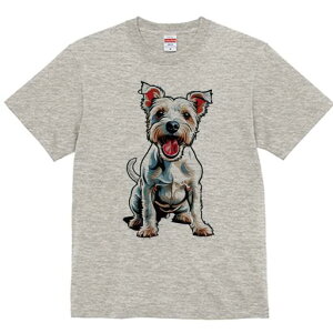 EGXgnChzCgeA TVc fB[X t@  t  vg JWA 킢 lԗp h ̃fUC ʔ ybg EGXgnChzCg