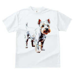 EGXgnChzCgeA TVc Y LbY t@  t  vg JWA 킢 lԗp h ̃fUC ʔ ybg EGXgnChz