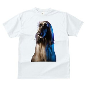 AtKnEh TVc fB[X t@  t  vg JWA 킢 lԗp h ̃fUC ʔ AtKnEh