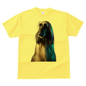 AtKnEh TVc fB[X t@  t  vg JWA 킢 lԗp h ̃fUC ʔ AtKnEh