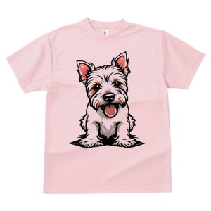 EGXgnChzCgeA TVc fB[X t@  t  vg JWA 킢 lԗp h ̃fUC ʔ  EGXgnChzCge