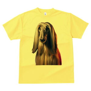 AtKnEh TVc fB[X t@  t  vg JWA 킢 lԗp h ̃fUC ʔ  AtKnEh e GKg t@bV