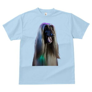 AtKnEh TVc fB[X t@  t  vg JWA 킢 lԗp h ̃fUC ʔ AtKnEh