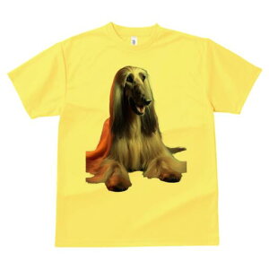 AtKnEh TVc fB[X t@  t  vg JWA 킢 lԗp h ̃fUC ʔ GKg AtKnEh  D t@bV