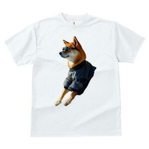 Č TVc fB[X t@  t  vg JWA 킢 lԗp h ̃fUC ʔ TOX Č 