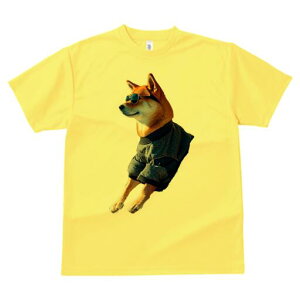 Č TVc fB[X t@  t  vg JWA 킢 lԗp h ̃fUC ʔ TOX Č 