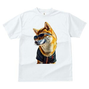 Č TVc fB[X t@  t  vg JWA 킢 lԗp h ̃fUC ʔ TOX Č WPbg