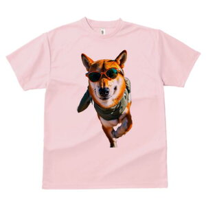 Č TVc fB[X t@  t  vg JWA 킢 lԗp h ̃fUC ʔ TOX Č TVc