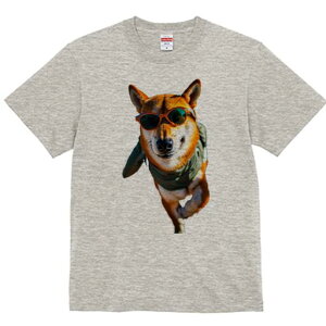 Č TVc fB[X t@  t  vg JWA 킢 lԗp h ̃fUC ʔ TOX Č TVc