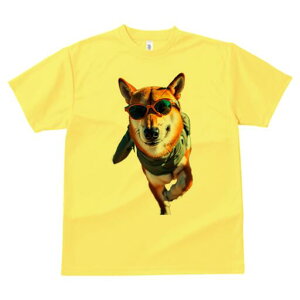 Č TVc fB[X t@  t  vg JWA 킢 lԗp h ̃fUC ʔ TOX Č TVc