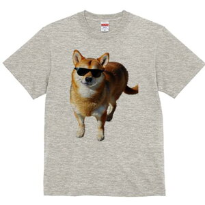 Č TVc fB[X t@  t  vg JWA 킢 lԗp h ̃fUC ʔ TOX Č