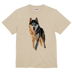 VxAnXL[ TVc fB[X t@  t  vg JWA 킢 lԗp h ̃fUC ʔ VxAnXL[