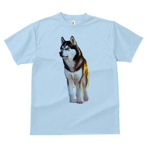 VxAnXL[ TVc fB[X t@  t  vg JWA 킢 lԗp h ̃fUC ʔ VxAnXL[