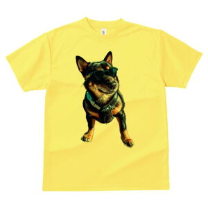 Č TVc fB[X t@  t  vg JWA 킢 lԗp h ̃fUC ʔ TOX Č n[lX