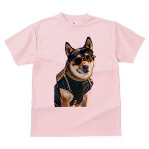 Č TVc fB[X t@  t  vg JWA 킢 lԗp h ̃fUC ʔ TOX Č WPbg