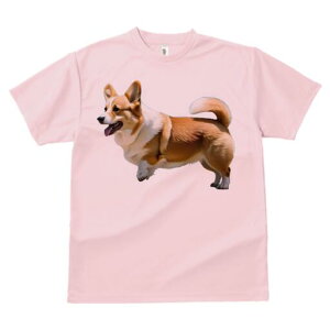 R[M[ TVc fB[X t@  t  vg JWA 킢 lԗp h ̃fUC ʔ R[M[