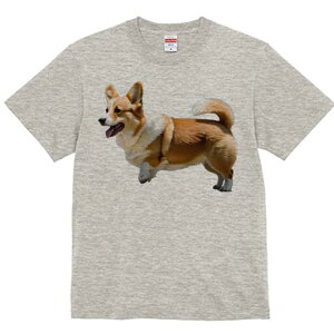 R[M[ TVc fB[X t@  t  vg JWA 킢 lԗp h ̃fUC ʔ R[M[