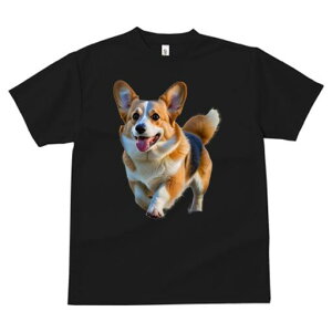 R[M[ TVc fB[X t@  t  vg JWA 킢 lԗp h ̃fUC ʔ  R[M[ ybg  