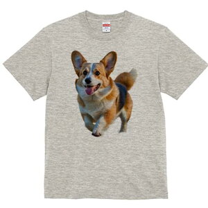 R[M[ TVc fB[X t@  t  vg JWA 킢 lԗp h ̃fUC ʔ  R[M[ ybg  